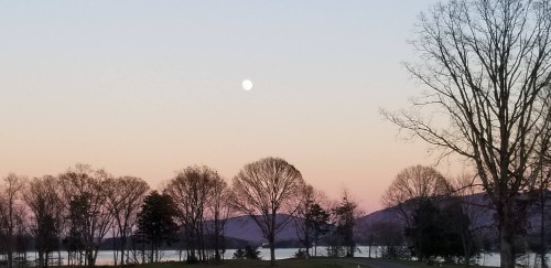 Image moon, smith mountain lake, mountain, Full moon, plant