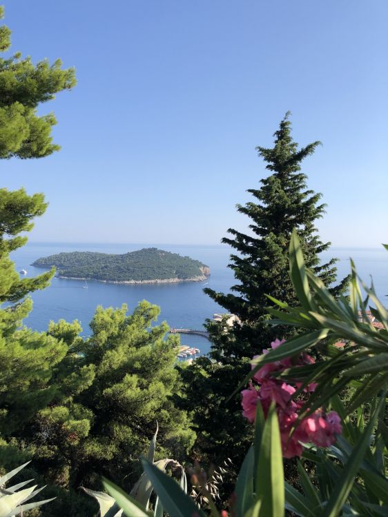 la Vegetación, Montaje de Escenografía, Biología, Ciencia, Paisaje Natural. Wallpaper in 1536x2048 Resolution