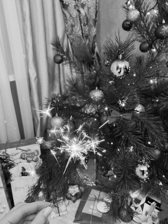 Weihnachtsbaum, Weihnachten, Schwarz Und Weiß, Weihnachtsdekoration, Fir. Wallpaper in 3024x4032 Resolution