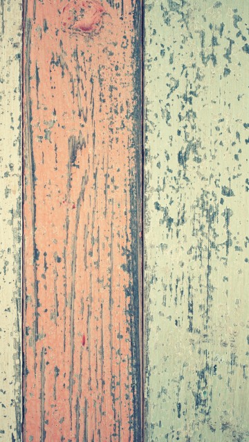 Image brown, colorfulness, blue, green, wood