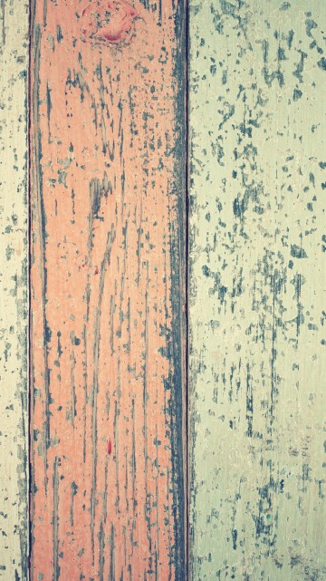 Image brown, colorfulness, blue, green, wood