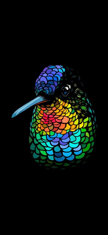 T-shirt, Vogel, Schnabel, Phasianidae, Ara. Wallpaper in 1080x2340 Resolution