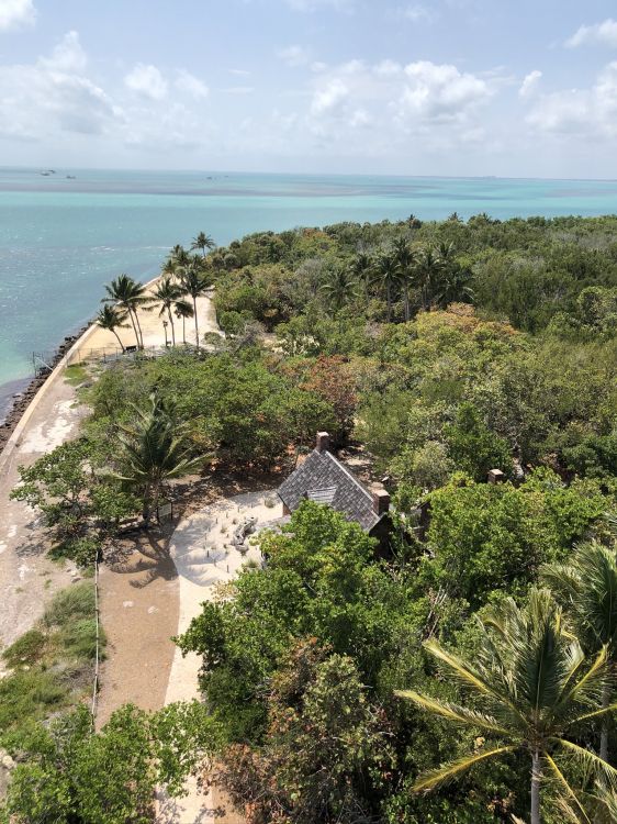 Vegetation, Tourismus, Pflanzen-Gemeinschaft, Küste, Horizont. Wallpaper in 1536x2048 Resolution