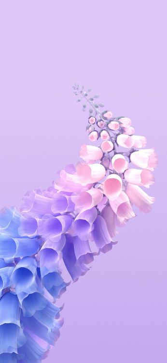 Vivo X60 Pro, 我住 T1x, 智能手机, 安卓, 紫色的 壁纸 1284x2778 允许