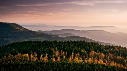 Image green trees on mountain during daytime