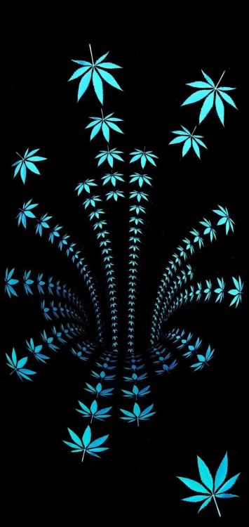 Azul, Planta Terrestre, Arte, Simetría, Patrón. Wallpaper in 700x1478 Resolution