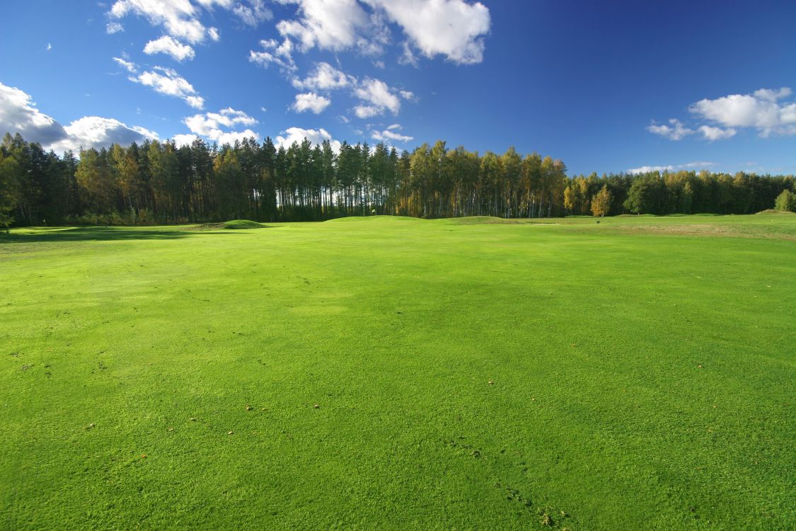 green grass field under blue sky and white clouds during daytime