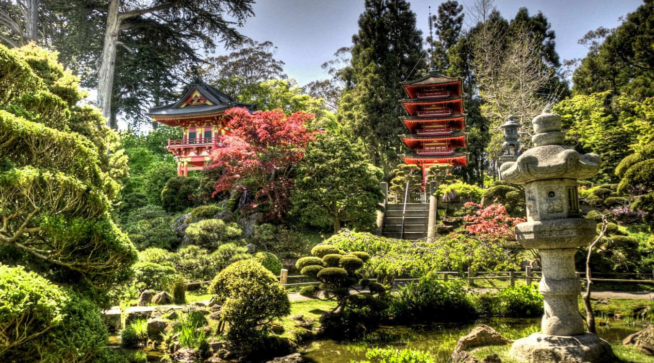 日本花园, 花园, 日本, 植被, 性质 壁纸 5077x2824 允许