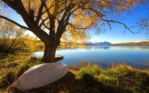 Image white boat on lake shore during daytime