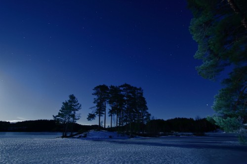 Image blue, nature, night, winter, snow