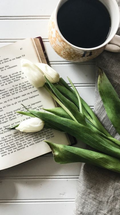 Kaffee, Buch, Lebensmittel, Geschirr, Cup. Wallpaper in 720x1280 Resolution