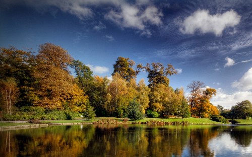 Image green trees beside river under blue sky during daytime