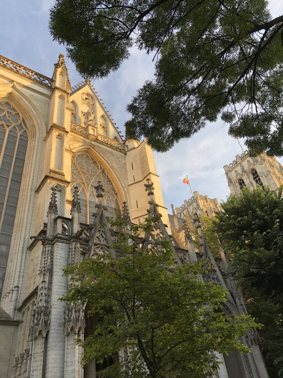 Wahrzeichen, Biologie, Wissenschaft, Baum, Fassade. Wallpaper in 1536x2048 Resolution