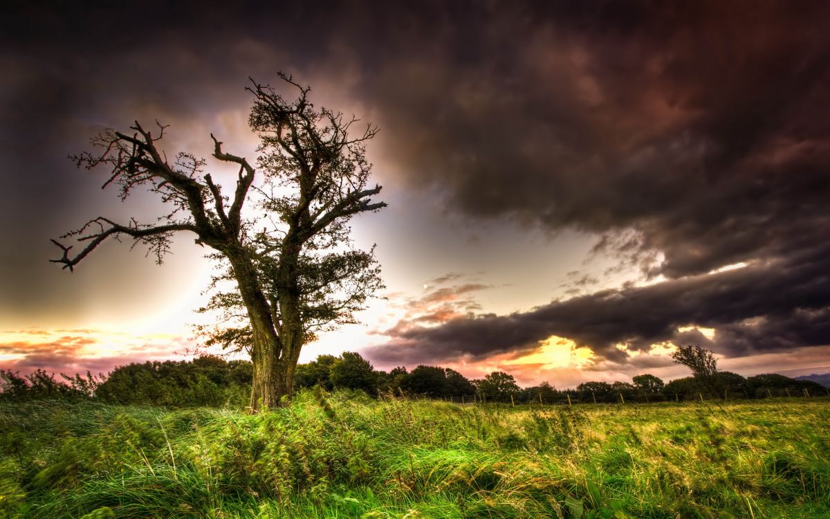 green grass field under cloudy sky during sunset