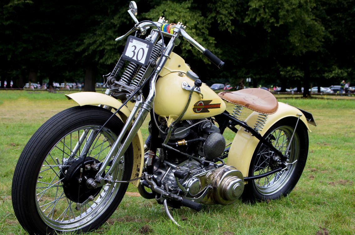 Moto Cruiser Jaune et Noir Sur Terrain D'herbe Verte Pendant la Journée. Wallpaper in 4819x3189 Resolution