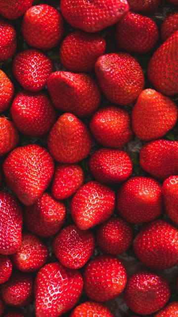 Strawberry wallpaper on white background Vector Image