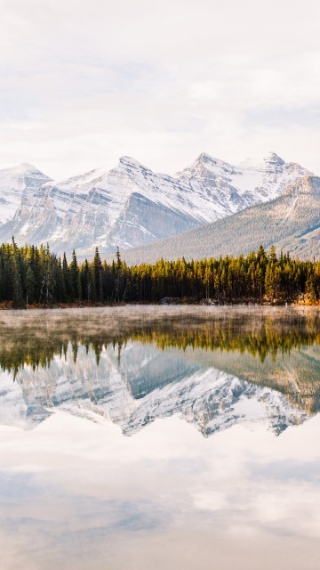 Image water, cloud, plant, mountain, water resources