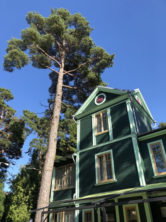 酒店, 列出建筑物 壁纸 1536x2048 允许