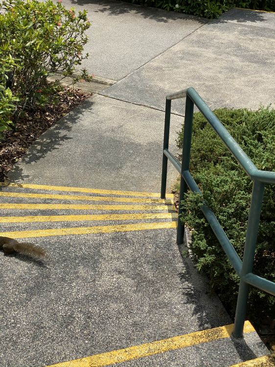 Chemin, Surface de la Route, Asphalt, Mathématique, Route. Wallpaper in 1536x2048 Resolution