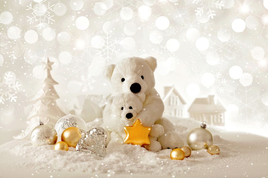 Christmas Day, polar bear, teddy bear, christmas ornament, bear