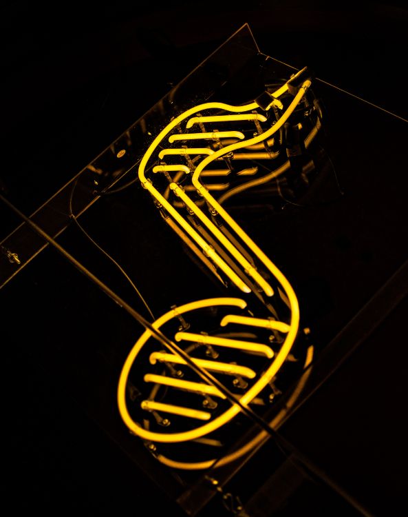 Lumière, Néon, Signe au Néon, Graphique, Art. Wallpaper in 4000x5055 Resolution