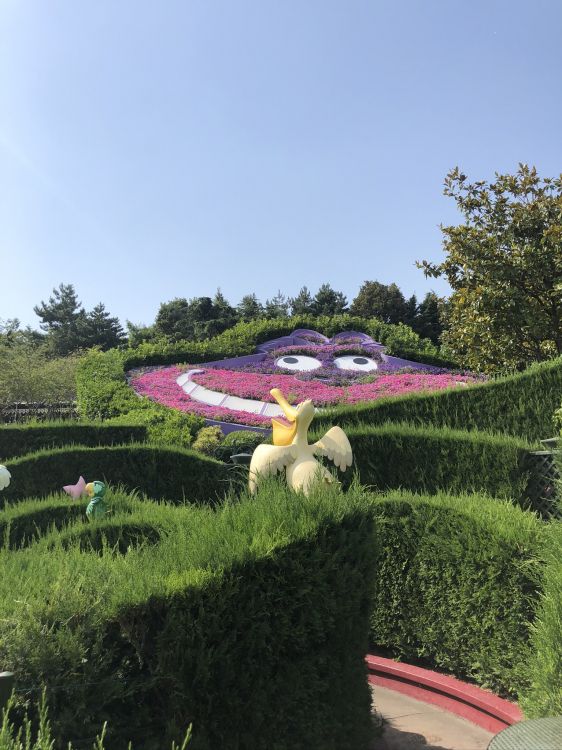 Prado, Pistola Espuma Poliuretano 025st, Arbusto, Jardin, la Botánica. Wallpaper in 1536x2048 Resolution