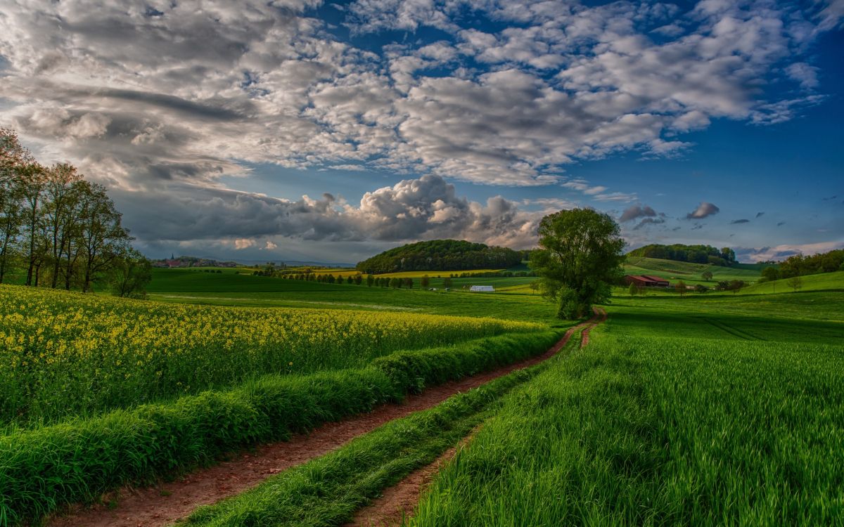 Campo de Hierba Verde Bajo un Cielo Azul Durante el Día. Wallpaper in 2560x1600 Resolution
