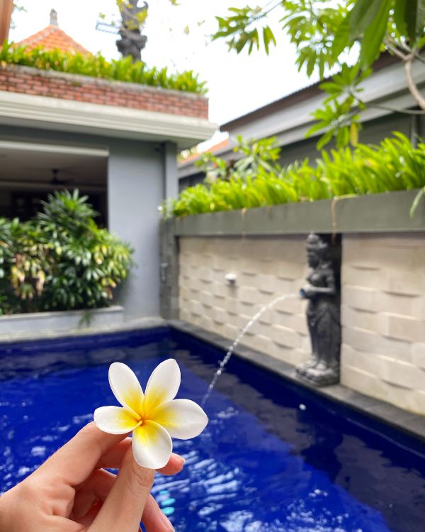 Blatt, Pool, Immobilie, Wasser, Majorelle-blau. Wallpaper in 3024x3780 Resolution