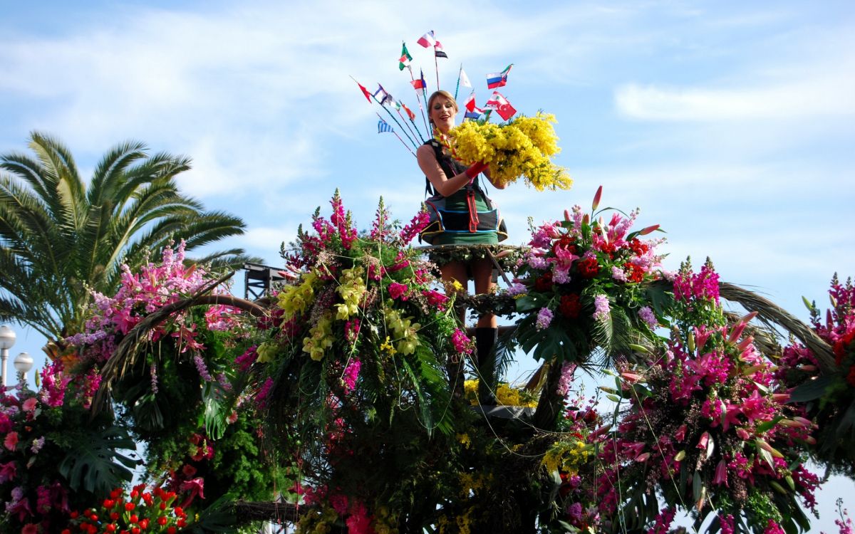 Flores Rojas y Amarillas en Caja de Madera Marrón. Wallpaper in 2560x1600 Resolution