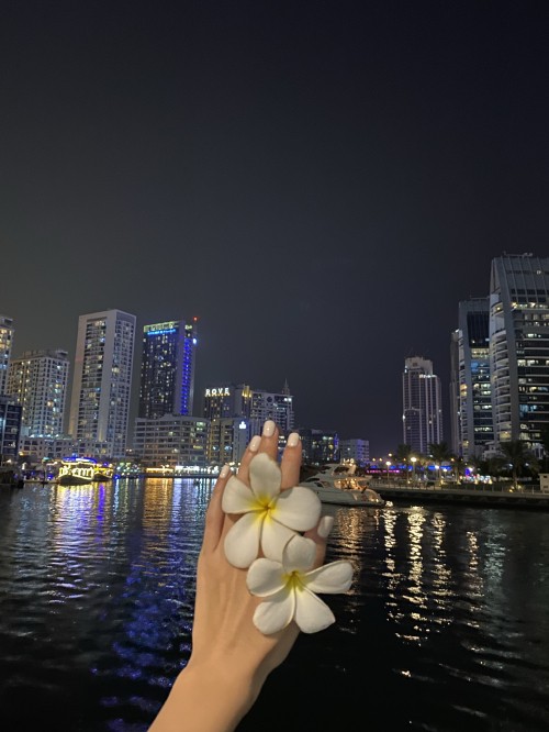 Image reflection, skyscraper, petal, tower block, night