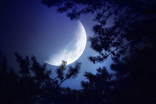 Image moon, nature, moonlight, atmosphere, astronomical object