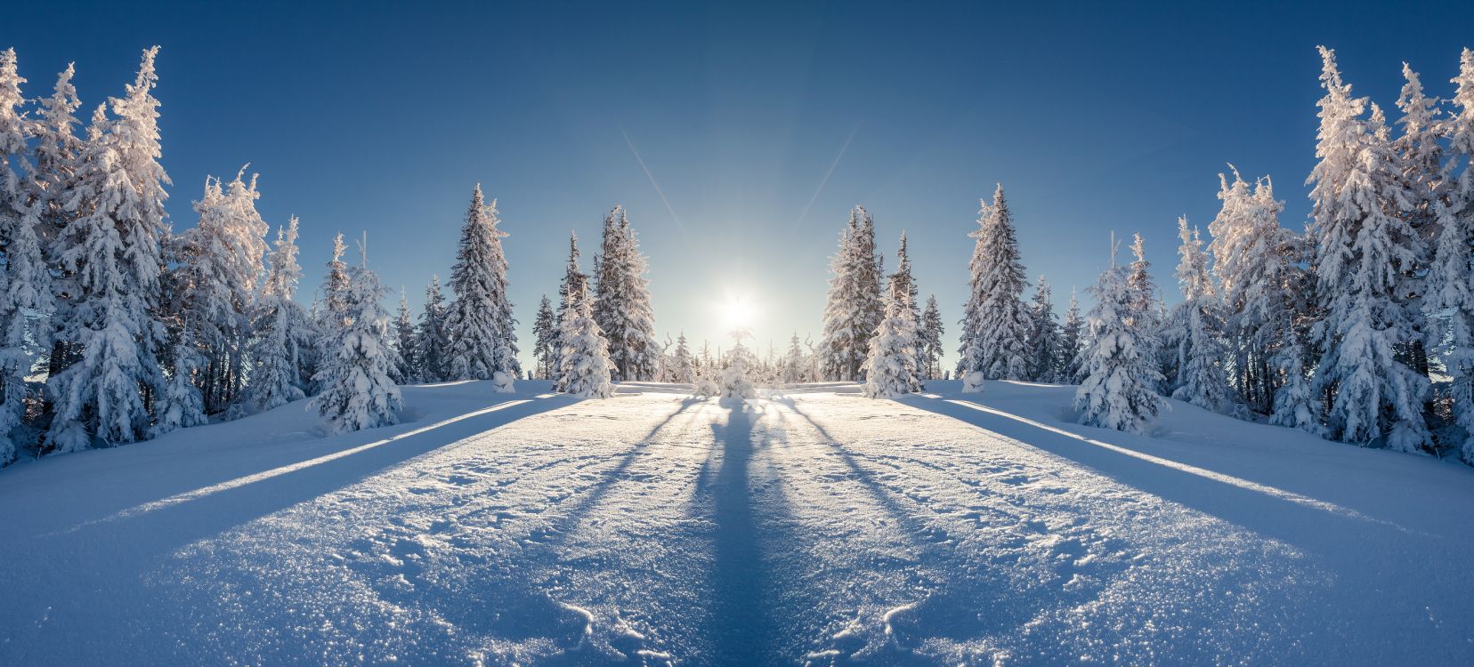 Árboles Cubiertos de Nieve Bajo un Cielo Azul Durante el Día. Wallpaper in 6946x3145 Resolution