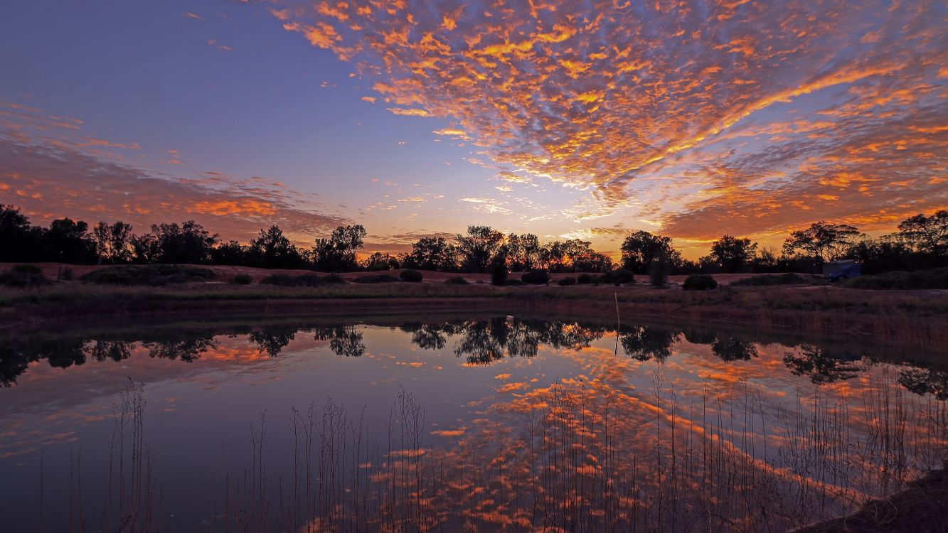 body of water near trees during sunset