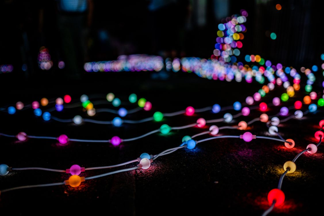 blue pink and yellow string lights