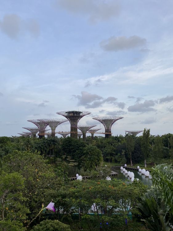 Singapur, Parque de la Ciudad Marina, Cuerpo de Agua, Naturaleza, la Vegetación. Wallpaper in 1536x2048 Resolution