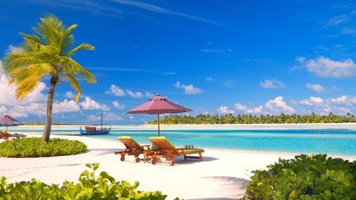 Image brown wooden lounge chairs on beach during daytime