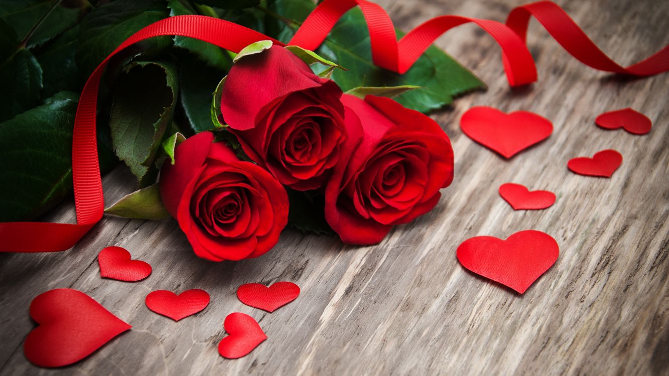 心脏, 红色的, 玫瑰花园, 爱情, 玫瑰家庭 壁纸 2560x1440 允许