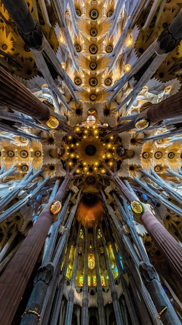 Image gold and silver floral ceiling