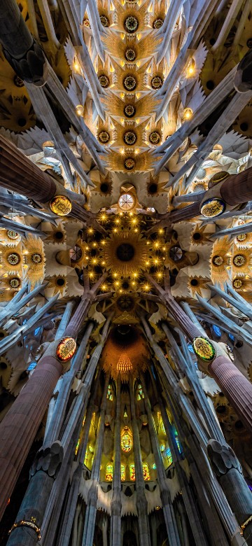 Image gold and silver floral ceiling