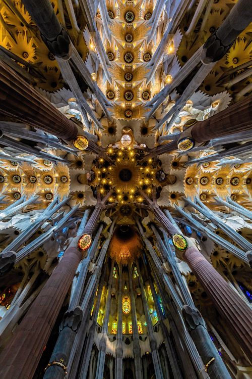 gold and silver floral ceiling