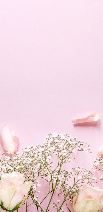 Image white and pink flowers with green leaves
