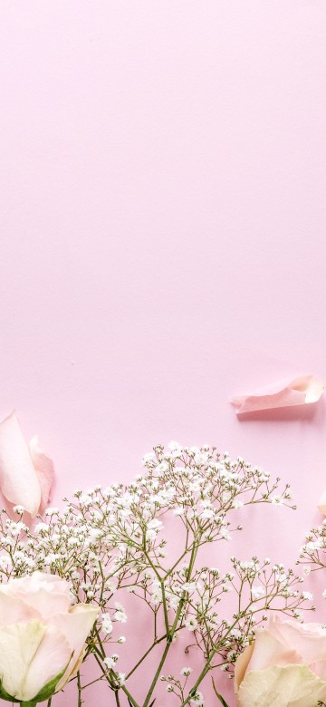 Image white and pink flowers with green leaves