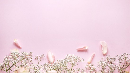 Image white and pink flowers with green leaves