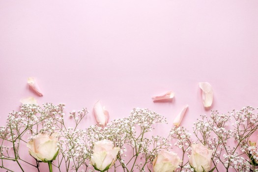 Legging Blanc Rose Gold - Equito main image 1
