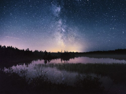 Image body of water near trees under starry night