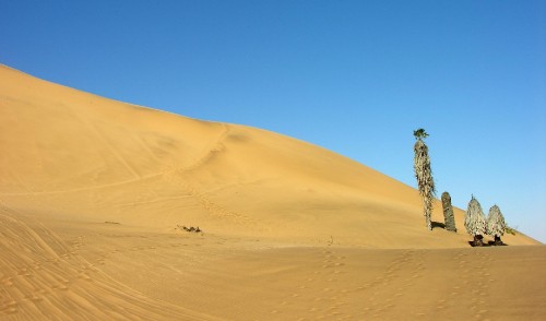 Image brown sand under blue sky during daytime