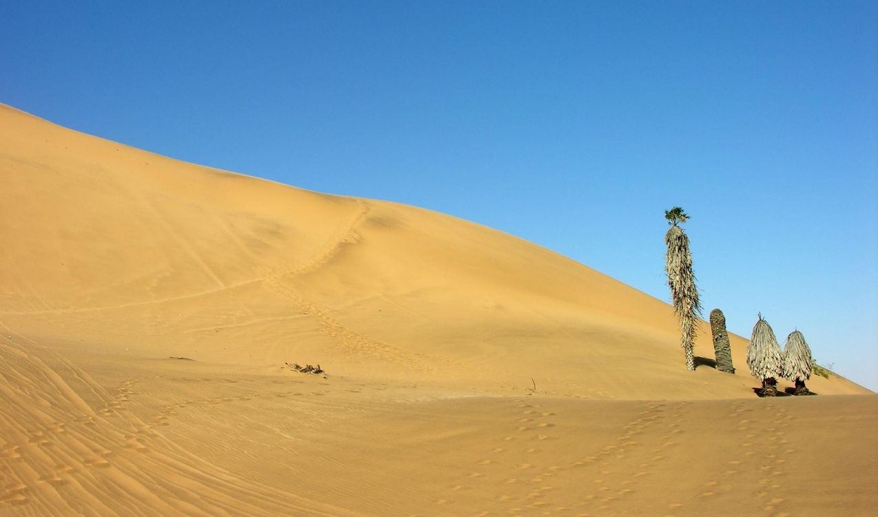 brown sand under blue sky during daytime