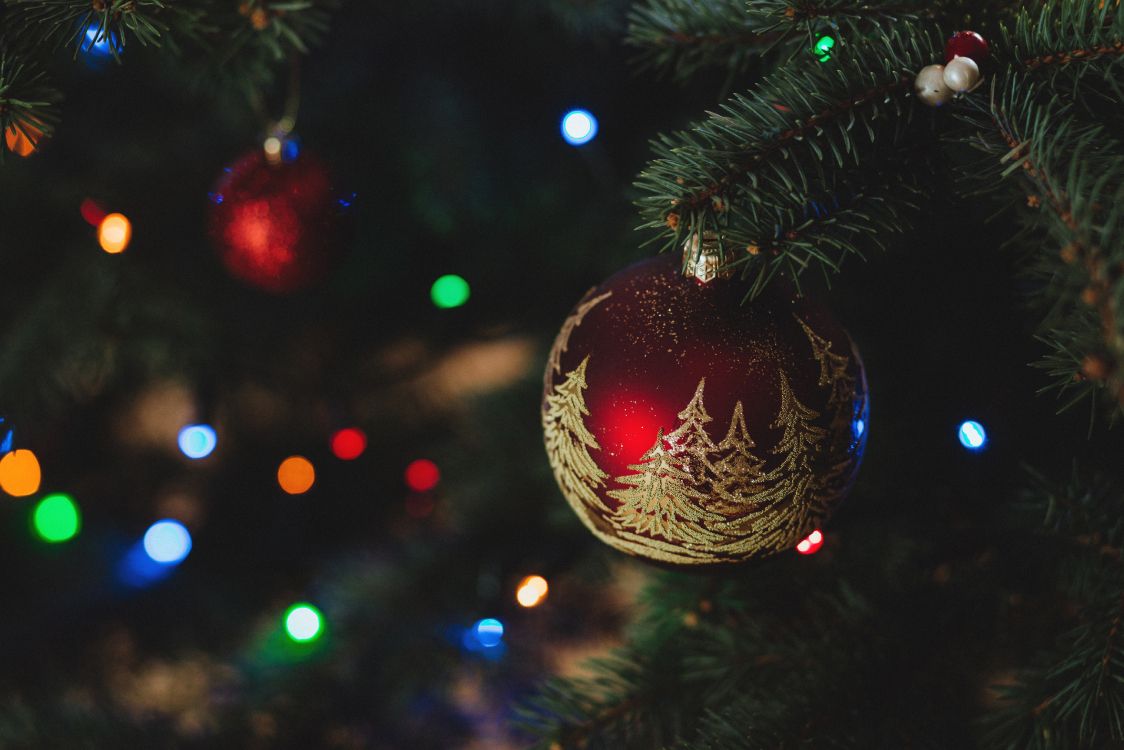 Christmas Day, Christmas Decoration, Christmas Ornament, Christmas Tree, Tree. Wallpaper in 5287x3525 Resolution