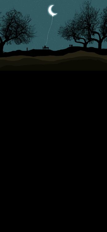 Crescent, Ballon, Ökoregion, Schwarz, Naturlandschaft. Wallpaper in 1080x2340 Resolution