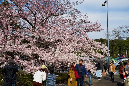 Image people walking on park during daytime